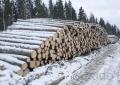 Круглый лес на строительство срубов Круглый лес на строительство срубов